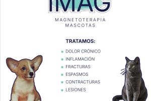 Profesionales Sin datos  mascotas